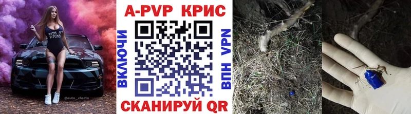 Альфа ПВП СК КРИС Ак-Довурак