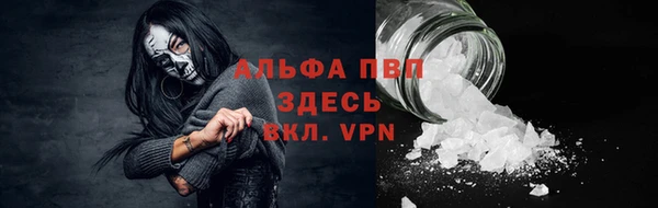 спиды Данков