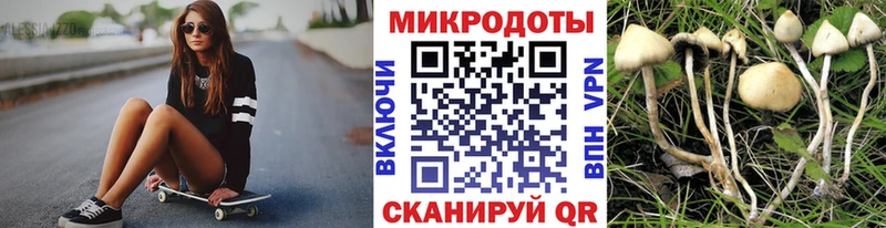 гидра сайт  Ак-Довурак  Псилоцибиновые грибы прущие грибы  дарнет шоп 